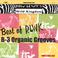 Best Of Rlwk - B-3 Organic Grooves Mp3