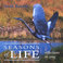 Seasons Of Life:reflections In Song Mp3