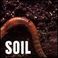 Soil Mp3