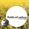 Fields of Yellow Mp3