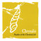 Chrysalis: Parables of the Christian Life Mp3