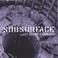Subsurface Last Spoken Dialect Mp3