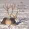 My Reindeer Don't Like To Fly Mp3