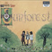Sound Of Sunforest Mp3