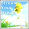 Stream Your Dream Mp3