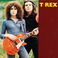T. rex (Vinyl) Mp3
