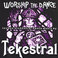 Worship The Dance Mp3