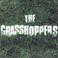 The Grasshoppers Mp3