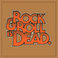 Rock & Roll Is Dead Mp3