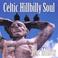 Celtic Hillbilly Soul Mp3