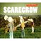 Scarecrow (CDS) Mp3