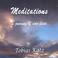 Meditations / Native American flutes Mp3
