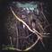 soul retrieval Mp3
