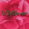 Wildflower Mp3