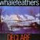 Whalefeathers Mp3