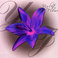 Violet Flower Mp3