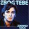 Zbog Tebe Mp3