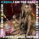 I Am The Dance Commander + I Command You To Dance: The Remix Album Mp3
