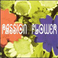 Live Passion Flower Mp3