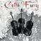 Cello Fury Mp3
