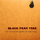 Black Pear Tree (EP) Mp3