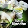 Fleur Blanche Mp3
