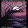 Stories From The Silver Moon Café Mp3