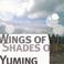 Wings Of Winter, Shades Of Summer Mp3