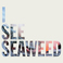 I See Seaweed Mp3
