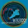 Wahoo! (remastered 2000) Mp3