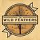 The Wild Feathers (EP) Mp3