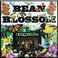 Bean Blossom (Vinyl) Mp3