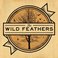 The Wild Feathers Mp3