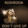 Dont Give Up (VLS) Mp3