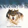 Solitudes - Legend Of The Wolf Mp3