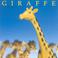 Giraffe Giraffe Mp3