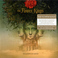 Desolation Rose (Limited Edition) CD1 Mp3