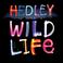 Wild Life (Deluxe Edition) Mp3