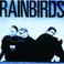 Rainbirds Mp3