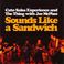 Sounds Like A Sandwich (With The Thing & Joe Mcphee) (EP) Mp3