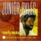 Curly Locks (Best Of Junior Byles & The Upsetters 1970 - 1976) Mp3