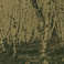 Taradiddle (With Mike Weis) Mp3