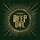 In Deep Owl Mp3