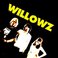 The Willowz Mp3
