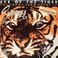 Japanese Papersleeve Collection: Eye Of The Tiger CD3 Mp3