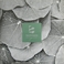 Evergreen (EP) Mp3