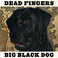 Big Black Dog Mp3