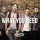 What You Need (EP) Mp3