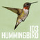 Hummingbird (EP) Mp3