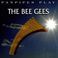 Panpipes Play The Bee Gees Mp3